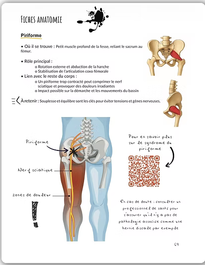 Extrait du livre - Fiche anatomie piriforme